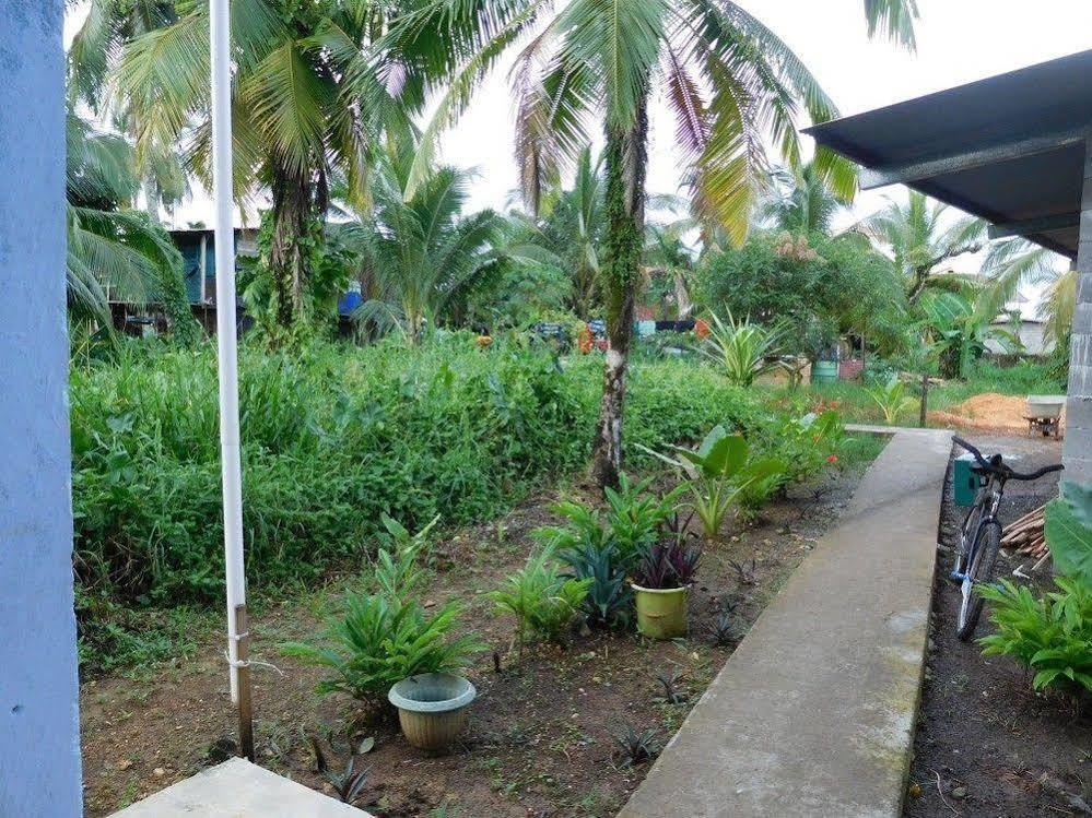 Valerie Emanuel Apartments Bocas Town Ngoại thất bức ảnh